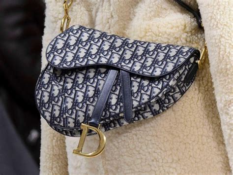 dior logo saddle bag
